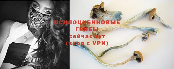 spice Вязники