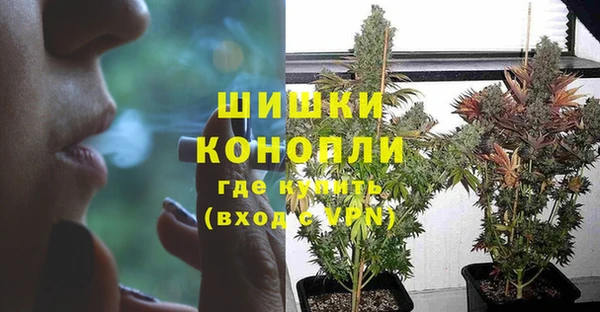 сатива Вяземский