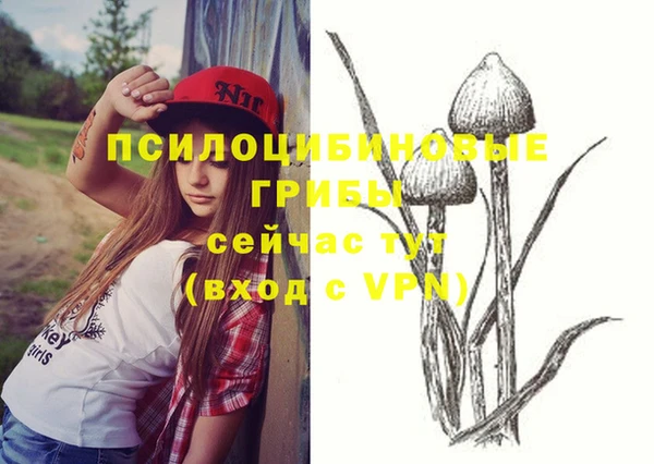 сатива Вяземский