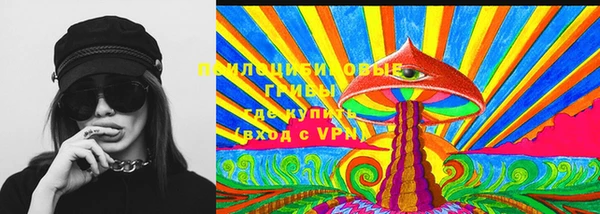 spice Вязники