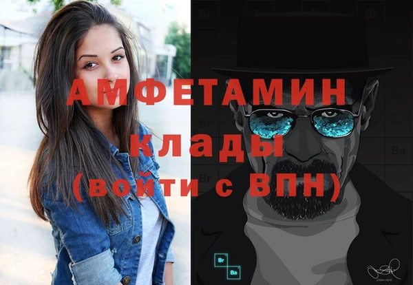 сатива Вяземский