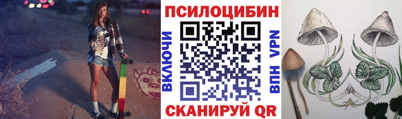 Галлюциногенные грибы ЛСД  Каменногорск 